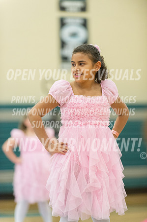 2015-BonneyLake-HillsboroMinis-54