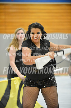 2014-OYEV-Kitsap2014-Bainbridge-27