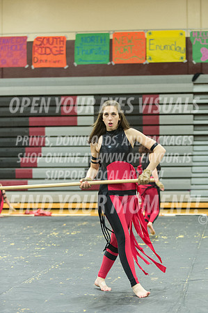 2015-Glencoe-SouthridgeDanceAndGuardEnsemble-16