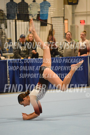 2025-RealmClassic-Friday-Session3-Platinum-Floor-Olympic-JJ-0012
