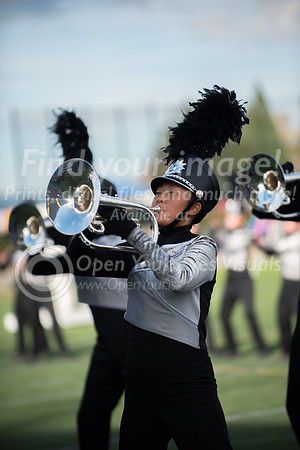 2016-LMAC- Kamiak Show Band-37
