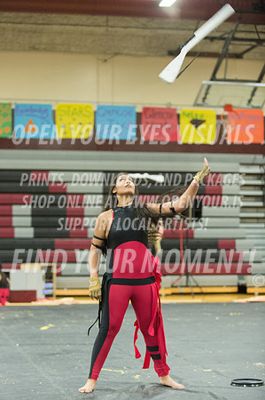 2015-Glencoe-SouthridgeDanceAndGuardEnsemble-36