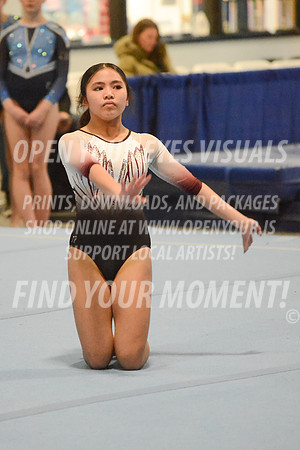 2025-RealmClassic-Friday-Session3-Platinum-Floor-Olympic-JJ-0015