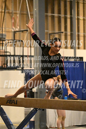 2025-RealmClassic-Friday-Session4-Div8_10_DS-Beam-Dynamic-BH-0112