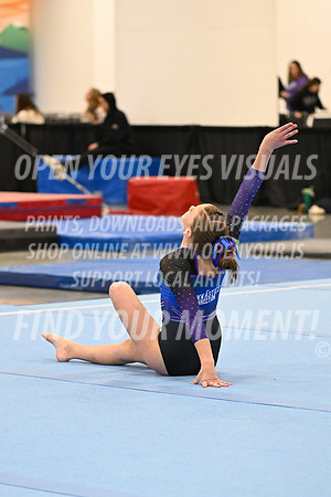 2025-NextEra-Friday-GymB-Platinum-GymnasticsConnection-BH-0049