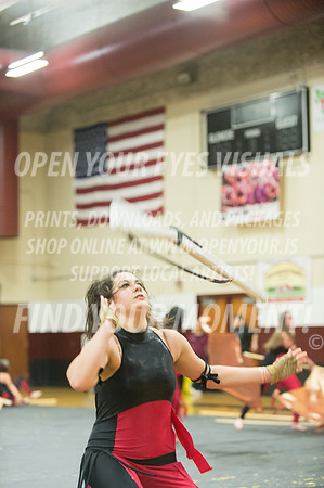 2015-Glencoe-SouthridgeDanceAndGuardEnsemble-47