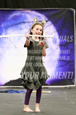 2025-LibertyChampionships-EvergreenLittles-JK-014