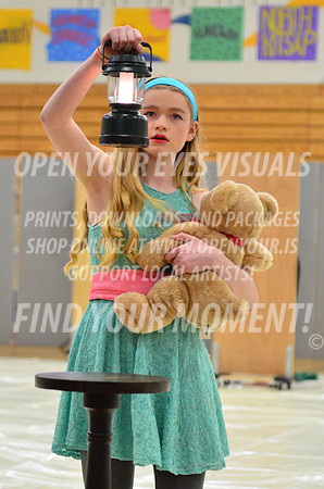 2015-Bainbridge-NorthKitsap-11