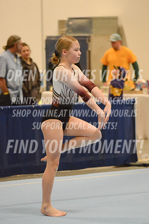 2025-RealmClassic-Friday-Session3-Platinum-Floor-Olympic-JJ-0005