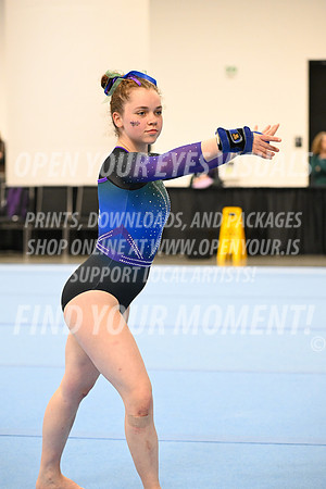 2025-NextEra-Friday-GymB-Platinum-GymnasticsConnection-BH-0016