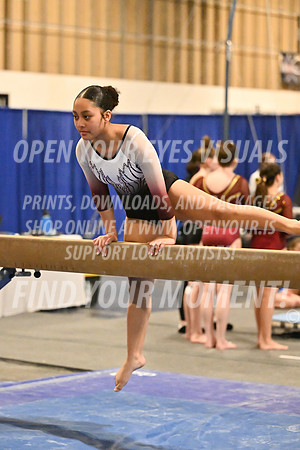 2025-RealmClassic-Saturday-Session8-Gold_Adult-Beam-Olympic-BH-0043