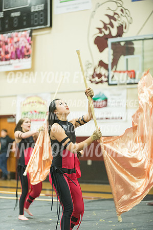 2015-Glencoe-SouthridgeDanceAndGuardEnsemble-56