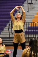 AC Davis Winterguard