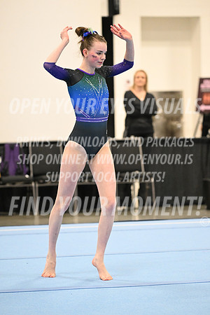 2025-NextEra-Friday-GymB-Platinum-GymnasticsConnection-BH-0009