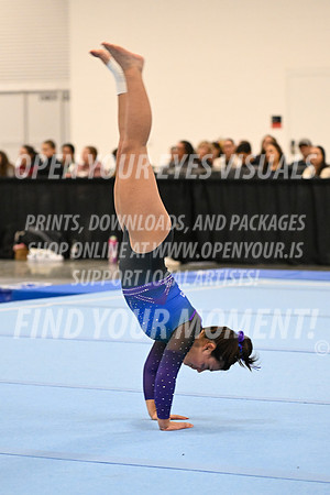 2025-NextEra-Friday-GymB-Platinum-GymnasticsConnection-BH-0052