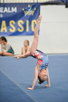 Cascade Elite Gymnastics