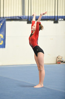 Mt. Baker Gymnastics