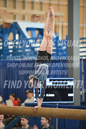 2023-CoastalRealm-Session9-CoastalRealm-Beam-008