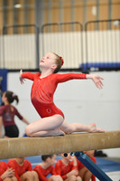 Cascade Elite Gymnastics