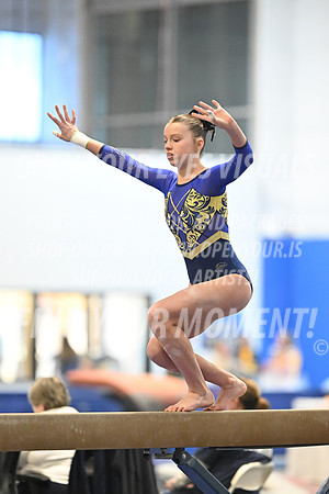 2025-RealmClassic-Friday-Session3-Platinum-Beam-CoastalRealm-BH-0003
