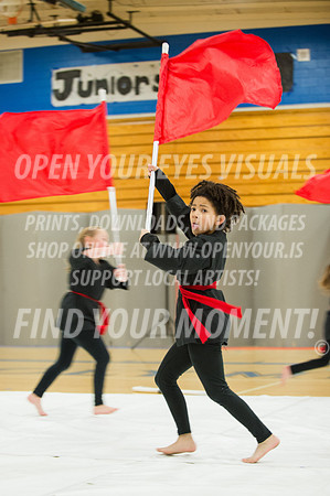 Kitsap-Rhapsody Wiggles-40