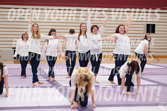 2013-Evaluation-Rhapsody IRA-5