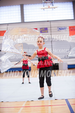 Ingraham-Pacificaires Minis-29