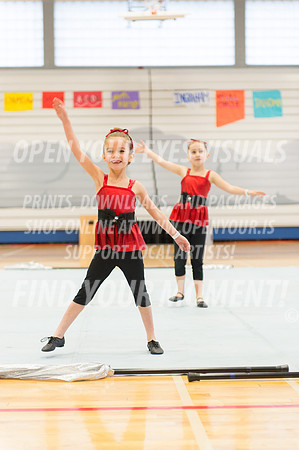 Ingraham-Pacificaires Minis-11