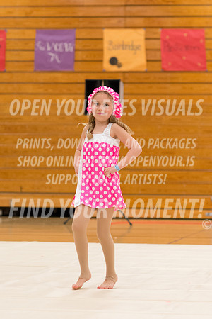2016-Bremerton-PacificairesMinis-37