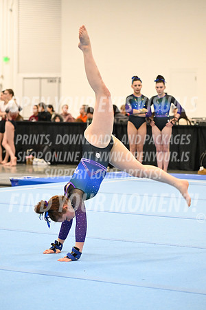 2025-NextEra-Friday-GymB-Platinum-GymnasticsConnection-BH-0024