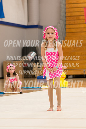 2016-Bremerton-PacificairesMinis-40