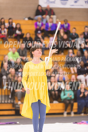 2016-Portland-BeavertonStars-26