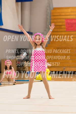 2016-Bremerton-PacificairesMinis-41