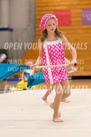 2016-Bremerton-PacificairesMinis-42