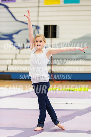 Ingraham-Rhapsody Regional A-23