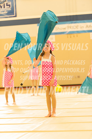 2016-BonneyLake-PacificairesMinis-41