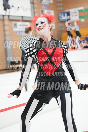 2014-OYEV-NWPA-Kamiak-Skyview-70