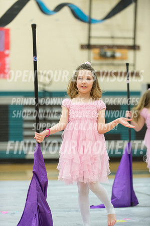 2015-BonneyLake-HillsboroMinis-44