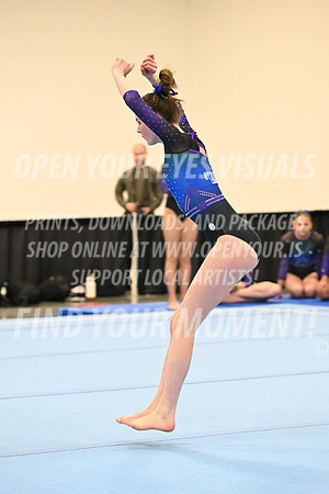 2025-NextEra-Friday-GymB-Platinum-GymnasticsConnection-BH-0008