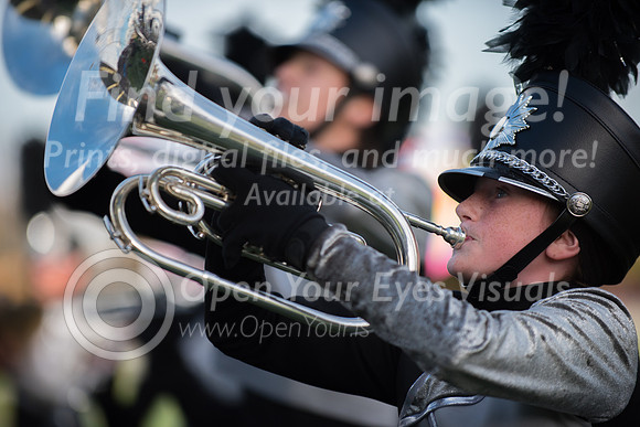 2016-LMAC- Kamiak Show Band-41