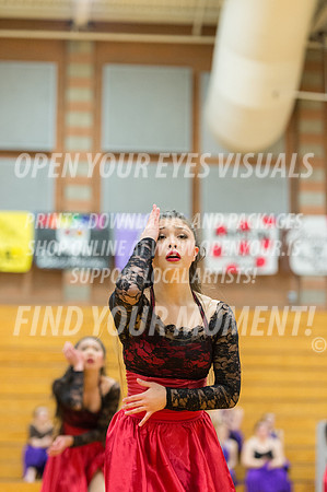 2016-Kamiak-KamiakDulcineasDanceTeam-48