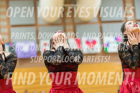 2016-Kamiak-KamiakDulcineasDanceTeam-66