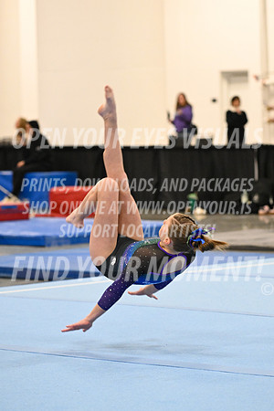2025-NextEra-Friday-GymB-Platinum-GymnasticsConnection-BH-0048