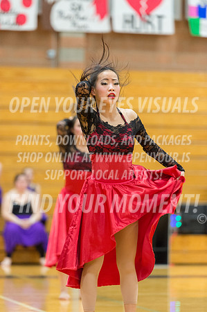 2016-Kamiak-KamiakDulcineasDanceTeam-54