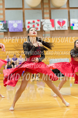2016-Kamiak-KamiakDulcineasDanceTeam-30
