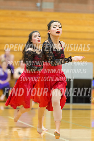 2016-Kamiak-KamiakDulcineasDanceTeam-23