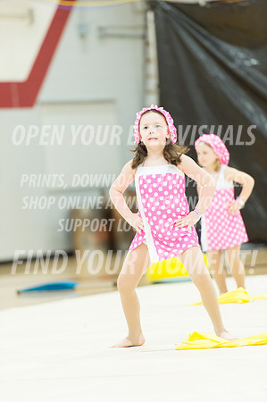 2016-Championships-PacificairesMinis-8