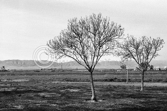 RhapsodyUnionFilm-52