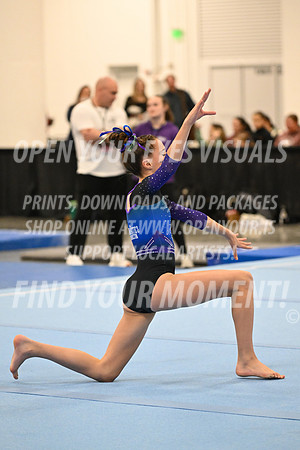 2025-NextEra-Friday-GymB-Platinum-GymnasticsConnection-BH-0070