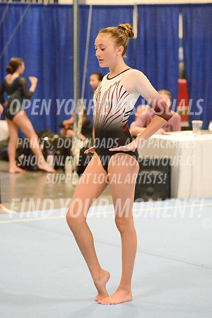 2025-RealmClassic-Saturday-Session8-Gold_Adult-Floor-Olympic-JJ-0021